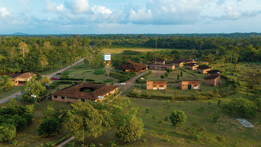 In Nicaragua bewirtschaftet Ritter-Sport seit zehn Jahren die Kakaofarm El Cacao. In diesem Jahr wird eine Ernte von etwa 600 Tonnen Edelkakao erwartet. Foto: Ritter-Sport